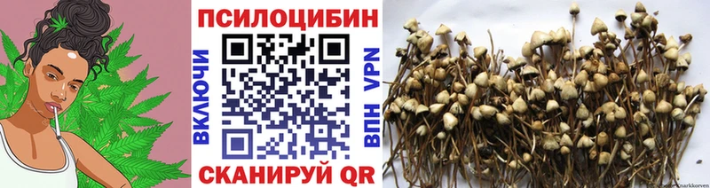 Галлюциногенные грибы MAGIC MUSHROOMS  мега вход  Ростов 